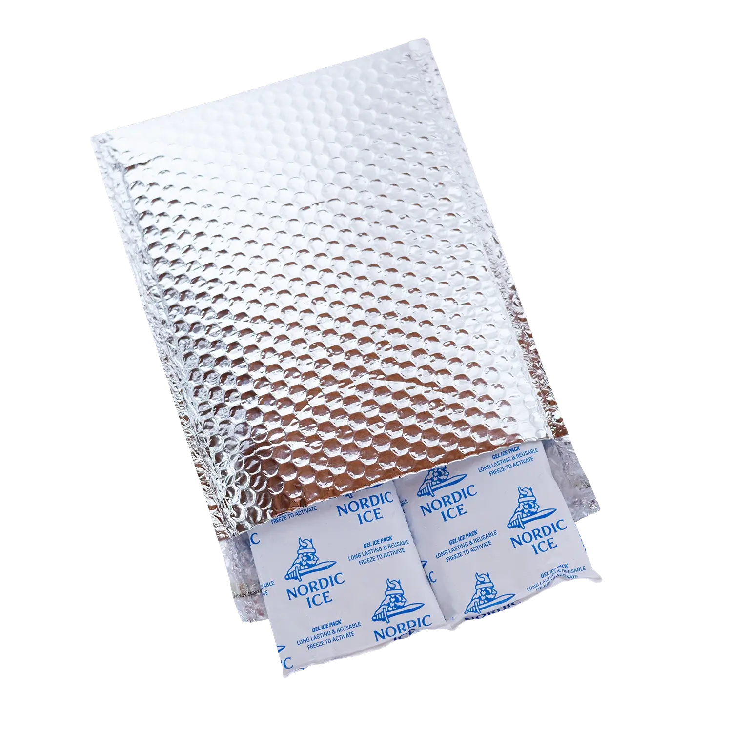 Bubble Mailer & 2 Ice Packs