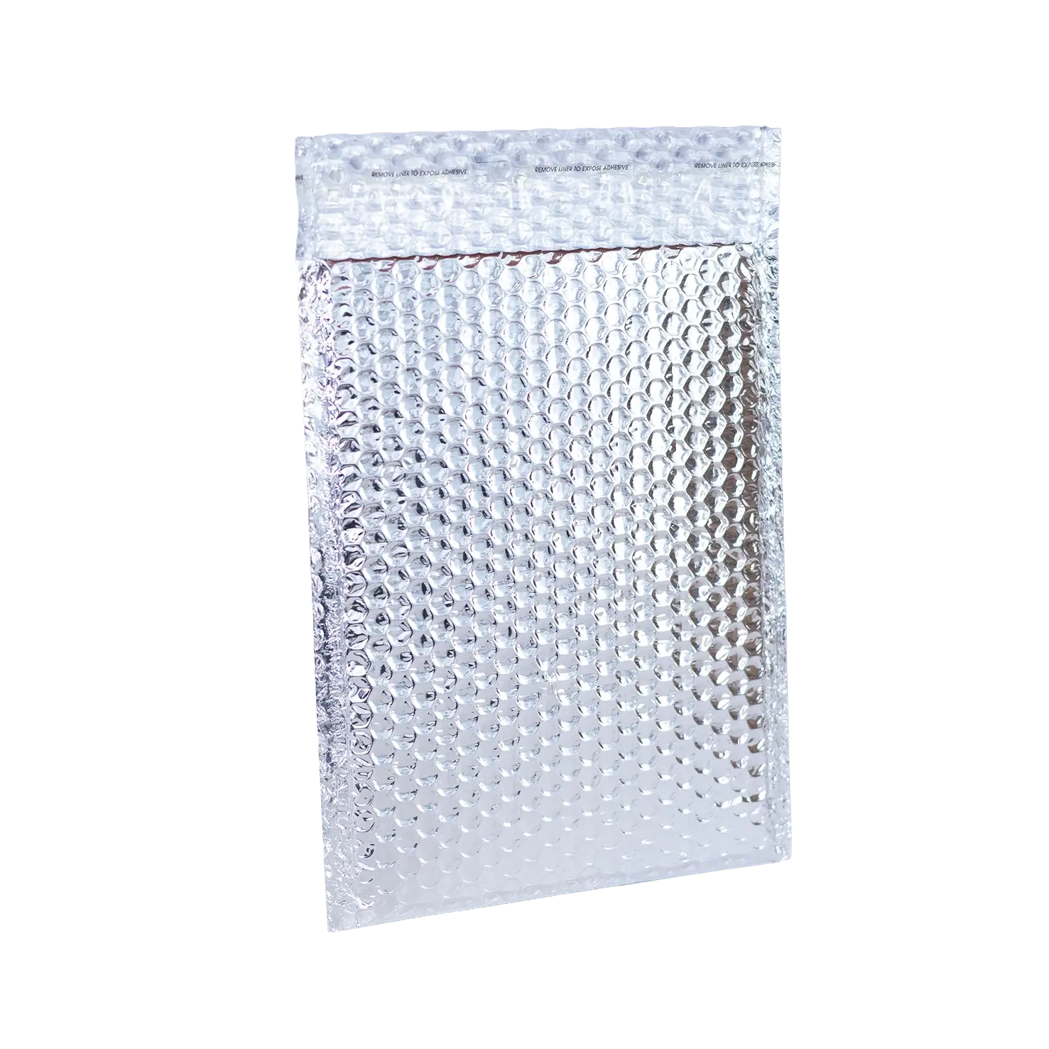 Bubble Mailer & 2 Ice Packs - Image 2