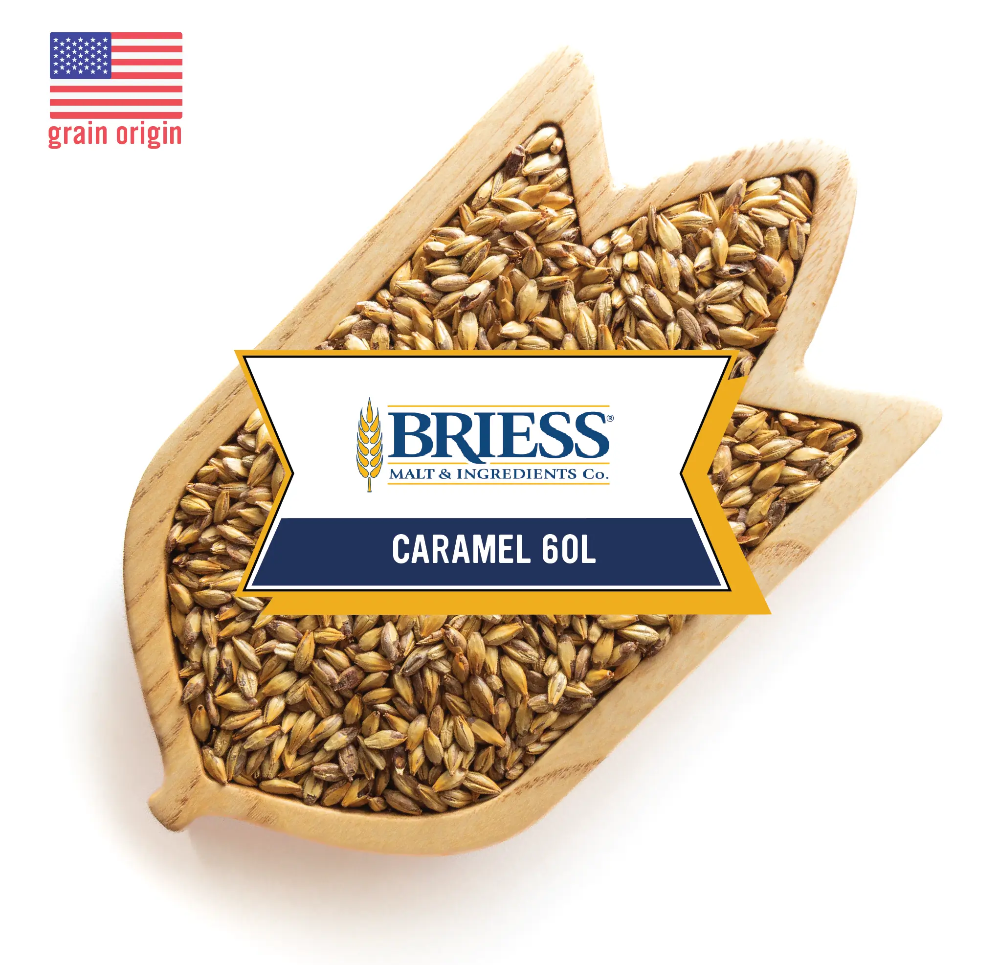 Caramel 60L Malt - Briess