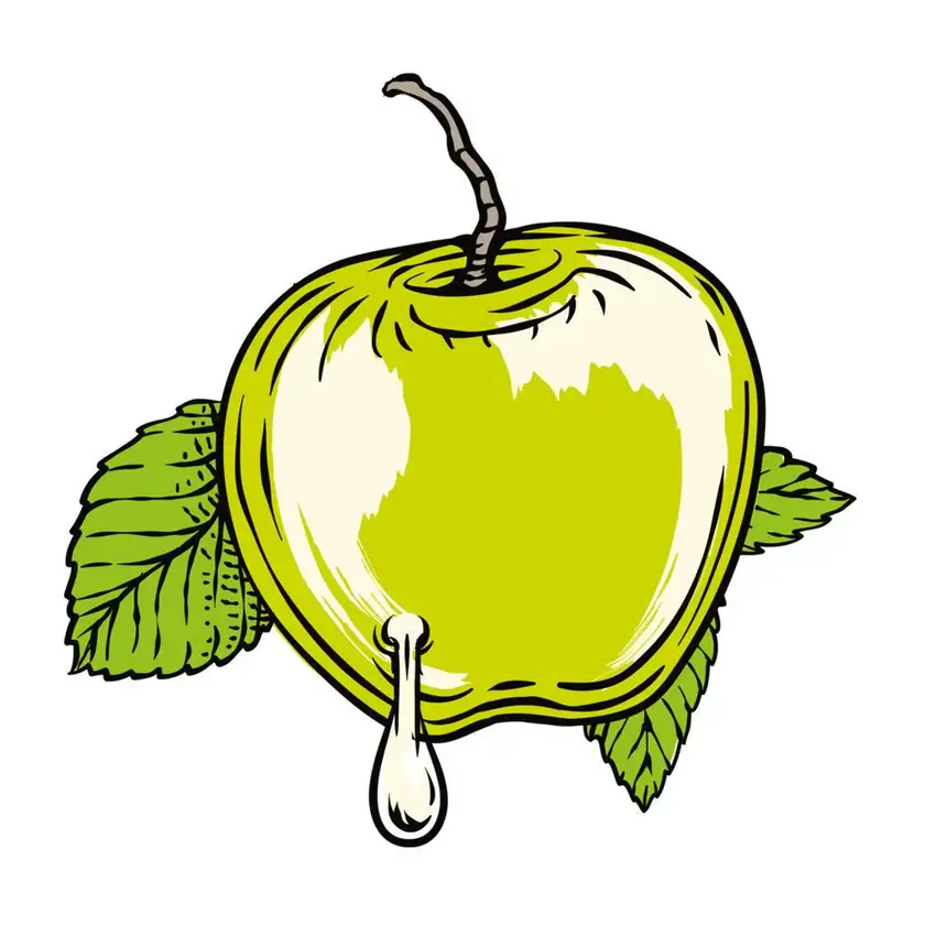 Hard Cider Brewing Kit - Image 8