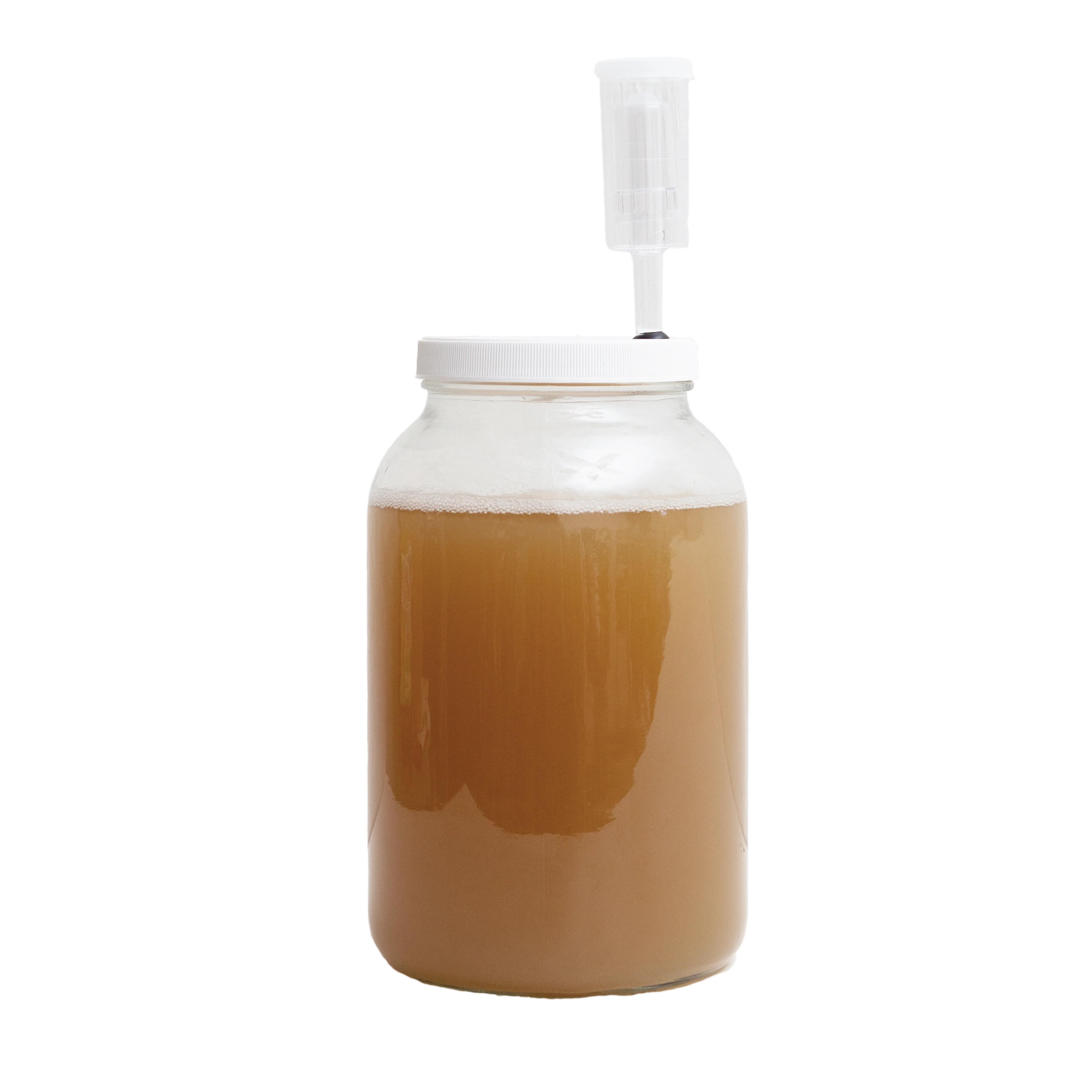 1 Gallon Jar Lid - Image 4