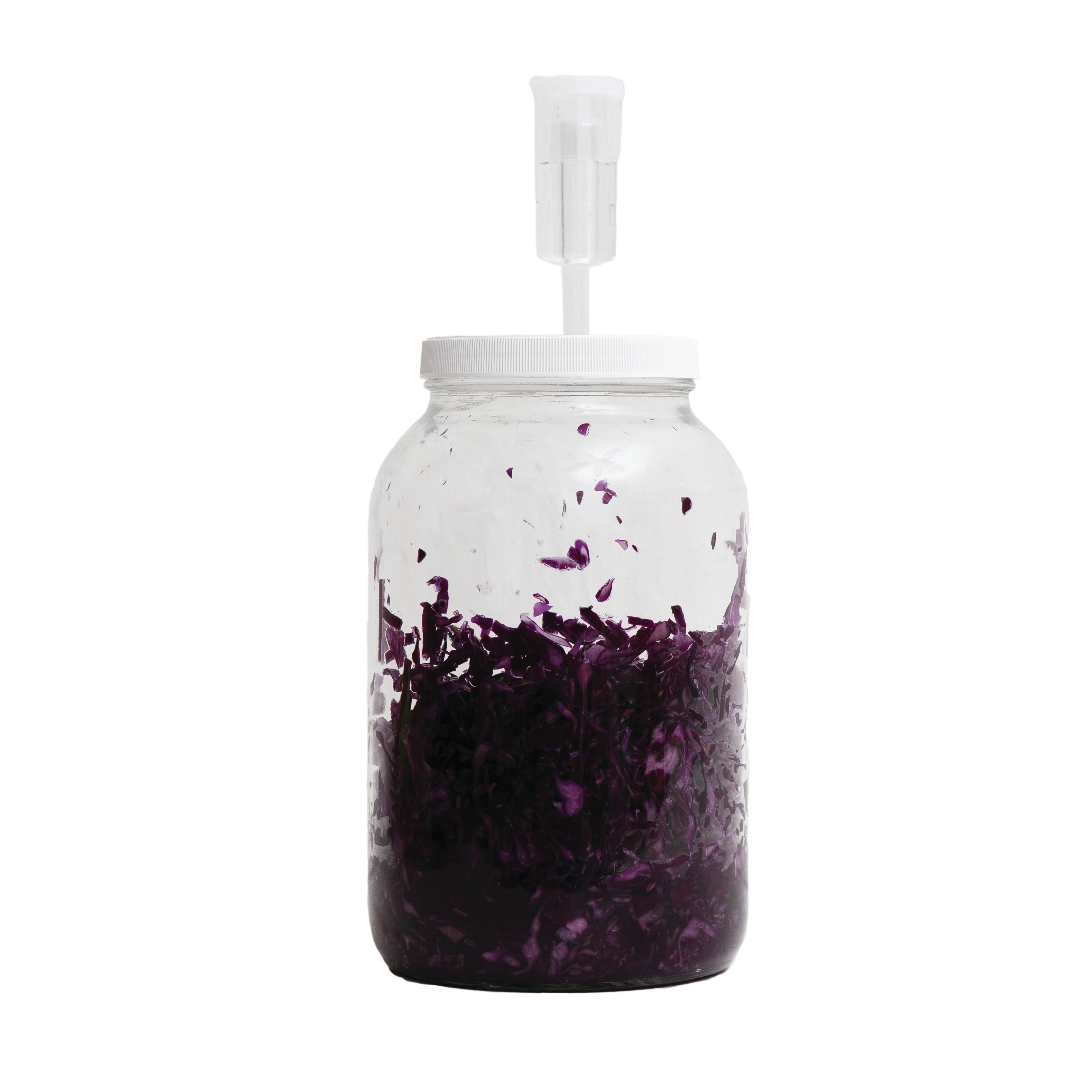 1 Gallon Jar Lid - Image 5