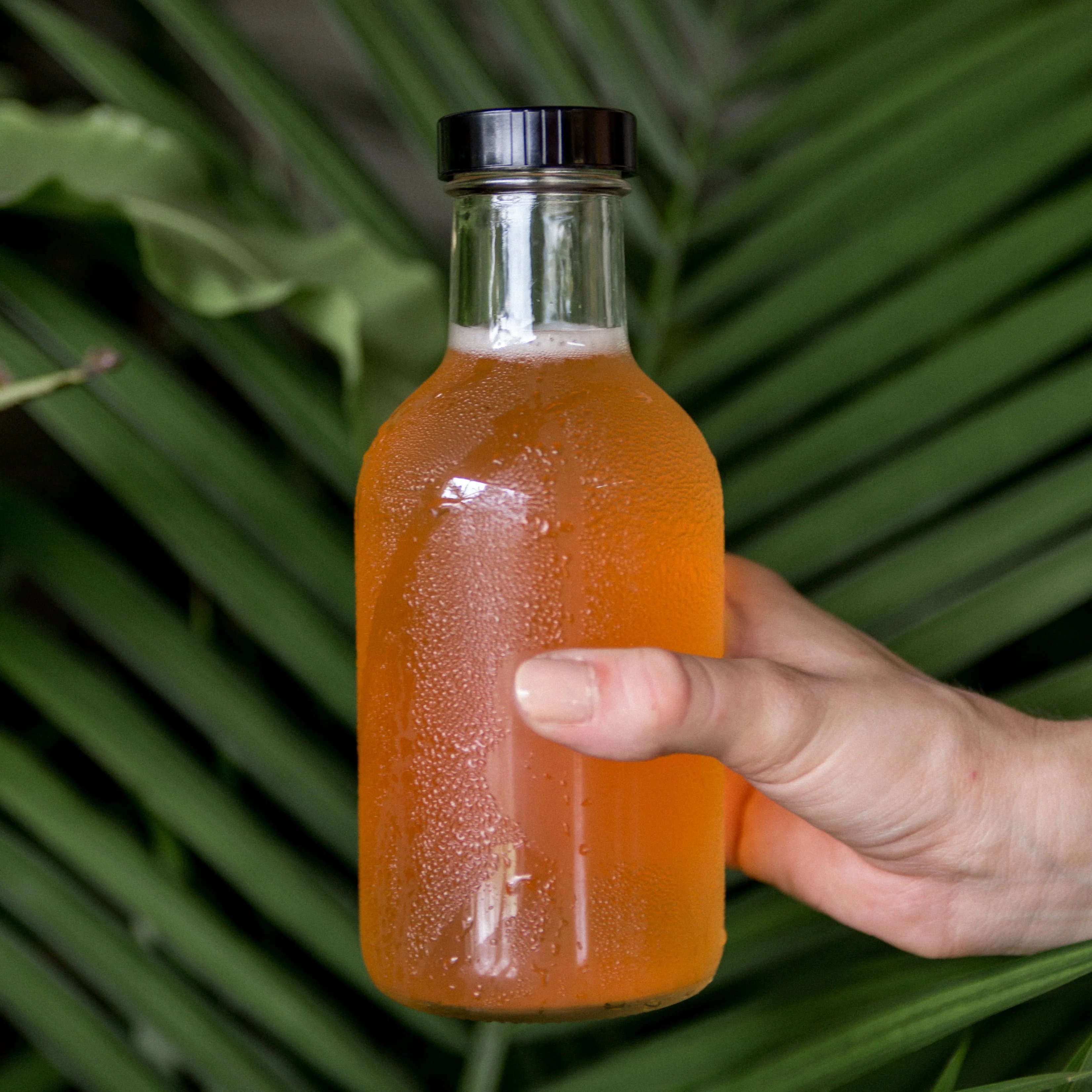 16 Oz Kombucha Bottling Kit - Image 6