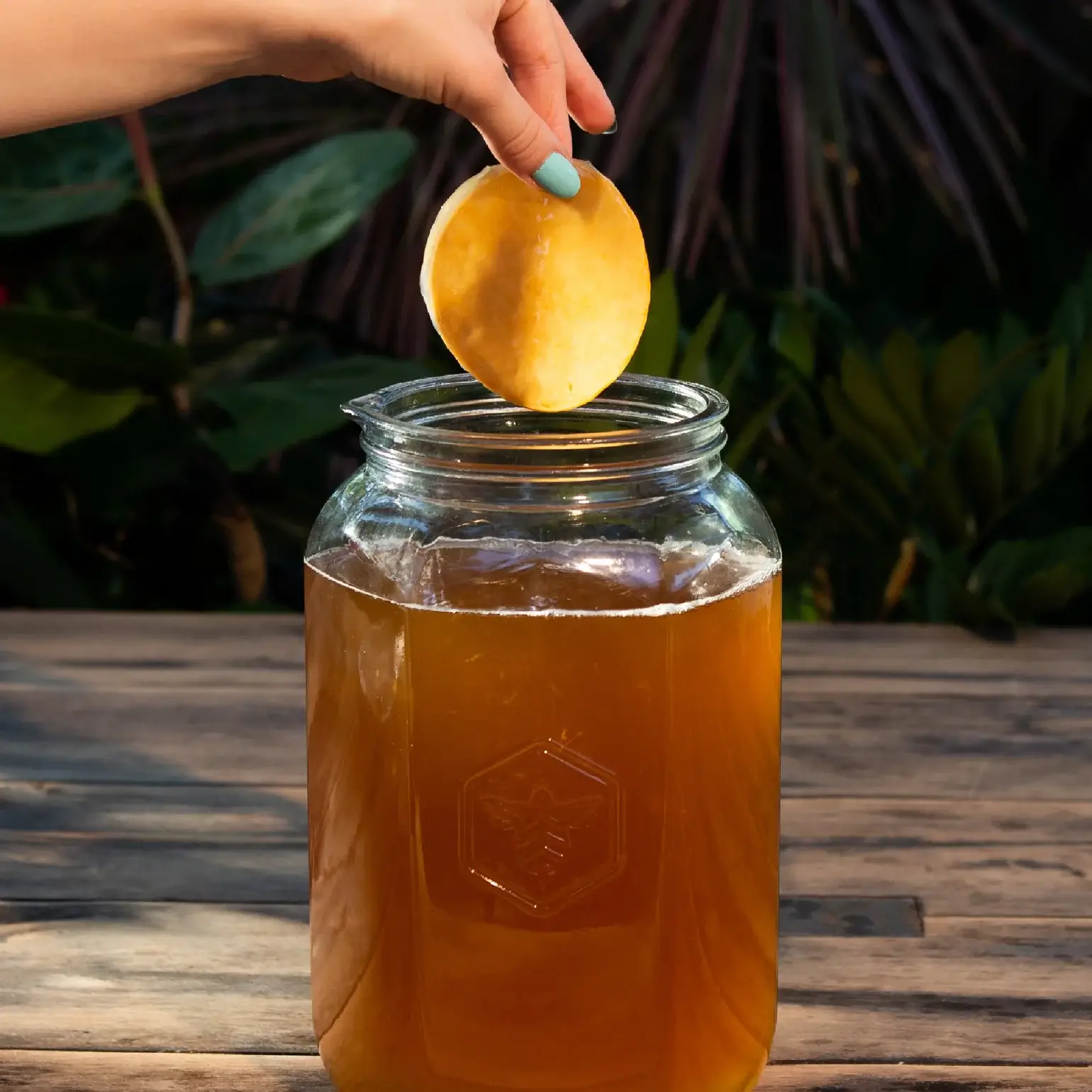Kombucha Starter Kit - Image 3