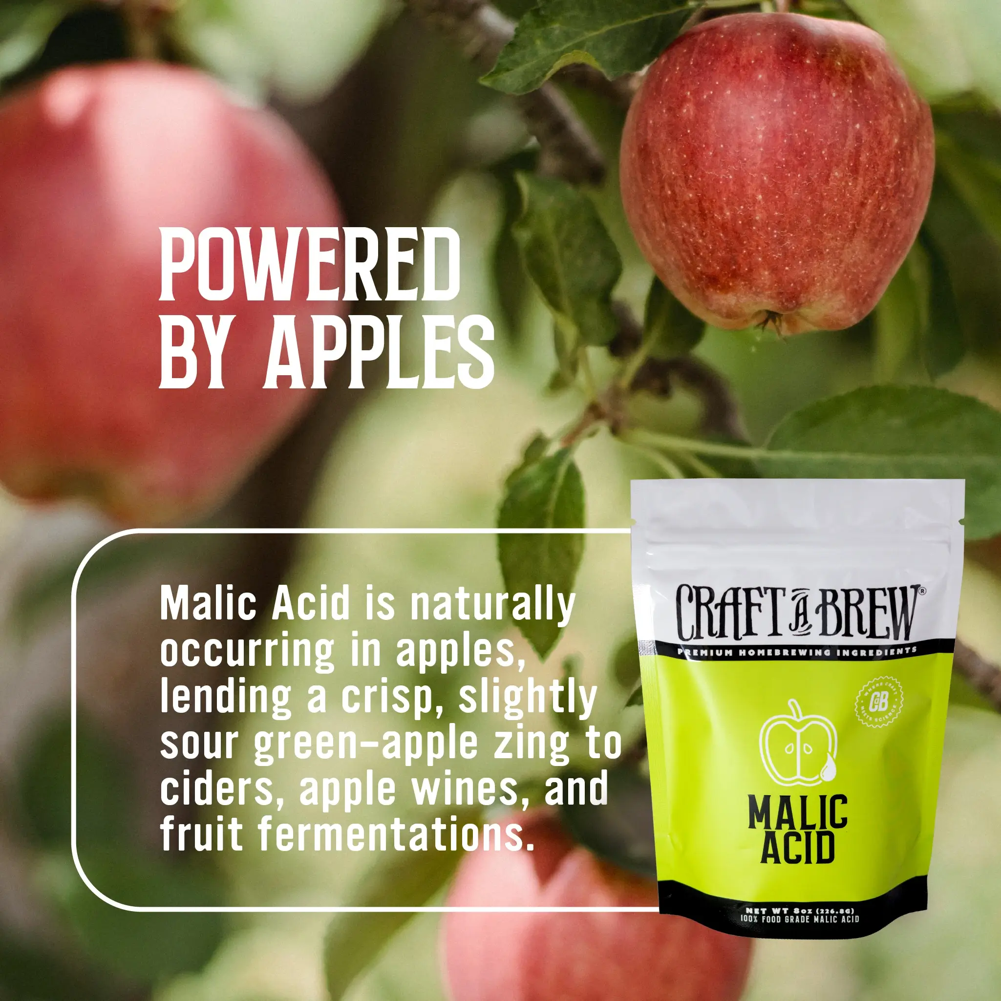 Malic Acid - Image 4