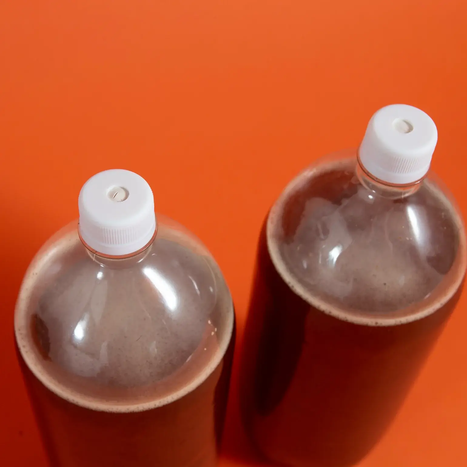 Root Beer Kit - Image 7