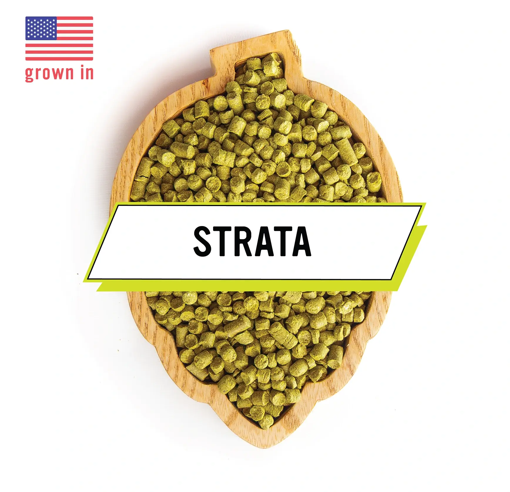 Strata Hops - Fresh Pellets - 1oz